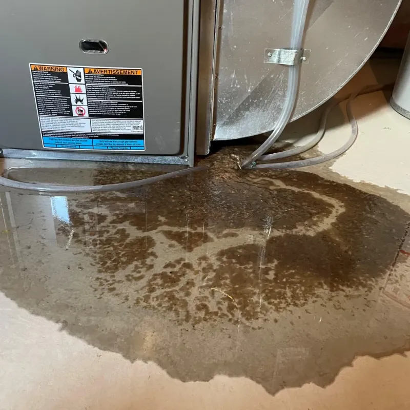 Appliance Leak Cleanup in Berkeley County, SC
