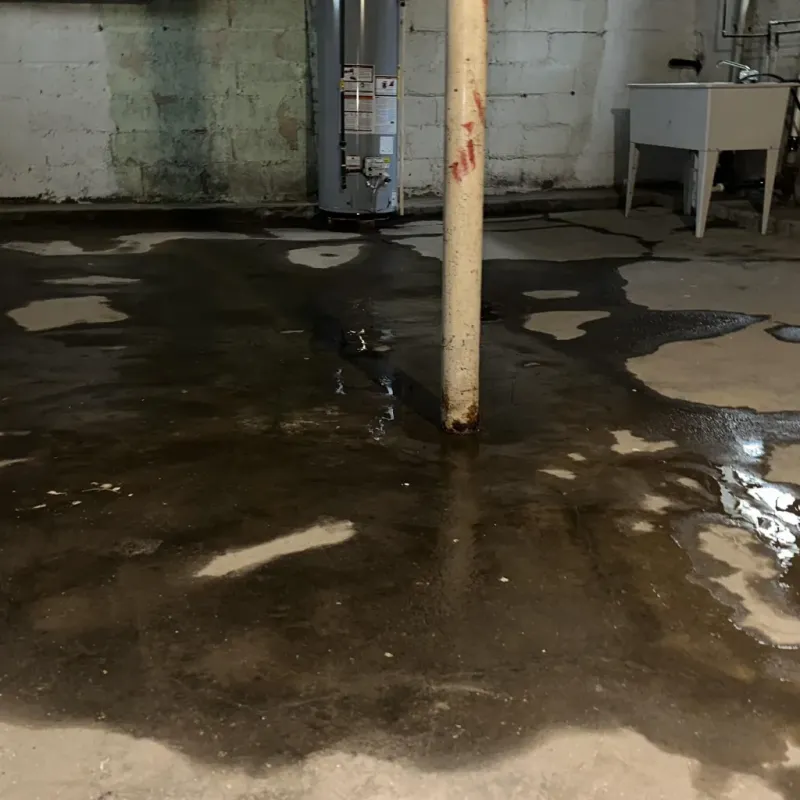 Emergency Water Extraction And Removal in Berkeley County, SC